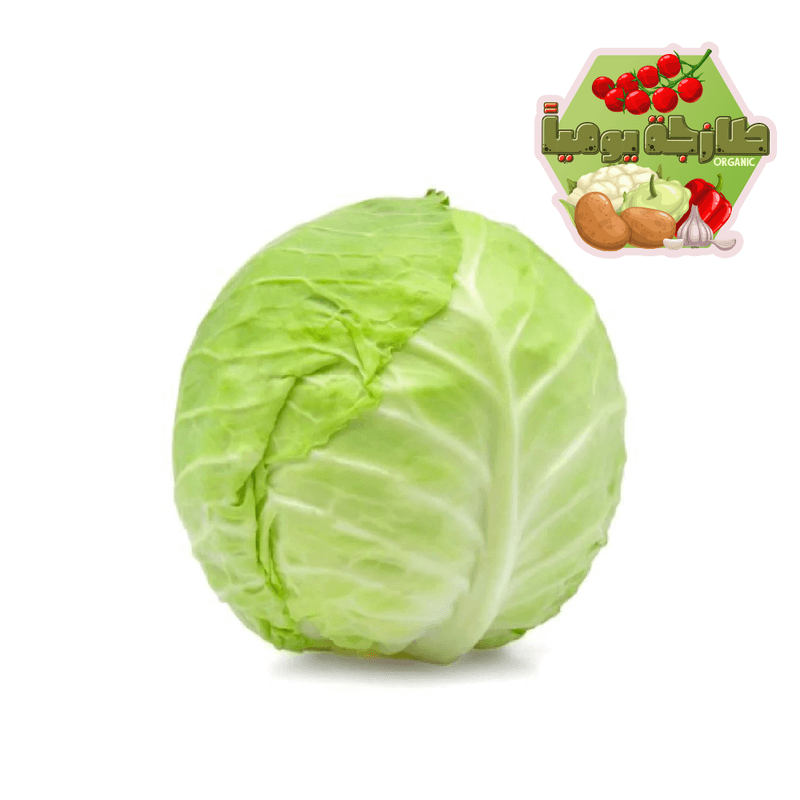 ملفوف اخضر حبة